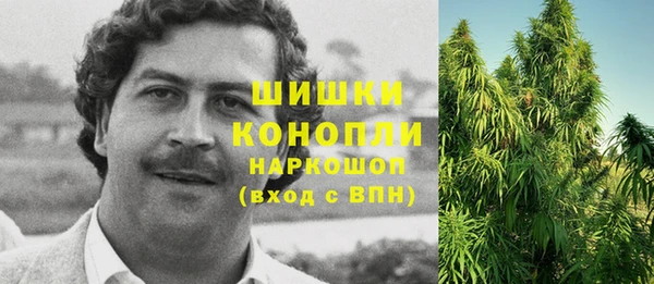 шишки Армянск