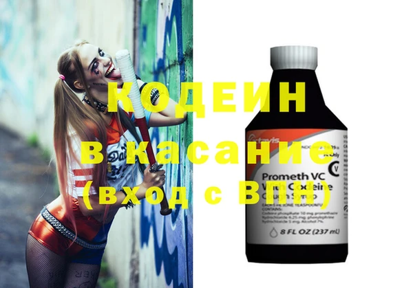 гашик Аркадак